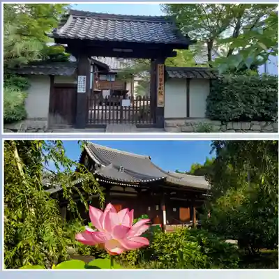 法金剛院(京都府)