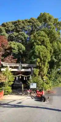 水度神社(京都府)
