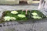 熊野大社(山形県)