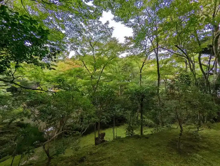 圓光寺(京都府)