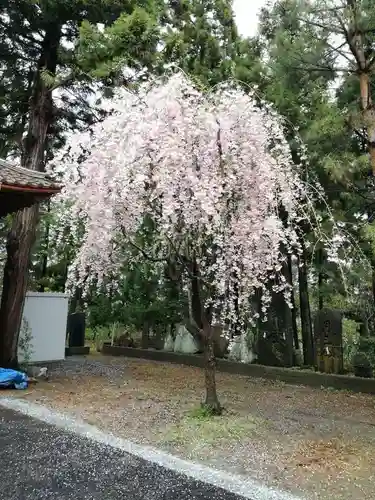 花巻神社の自然