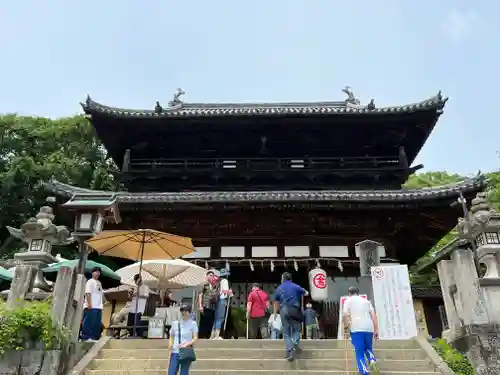 金刀比羅宮の本殿・本堂