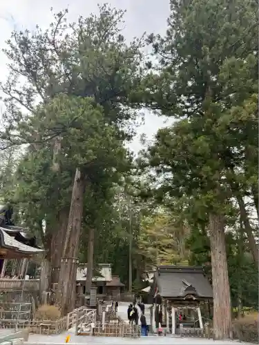 三峯神社(埼玉県)