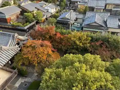 大雲院(京都府)