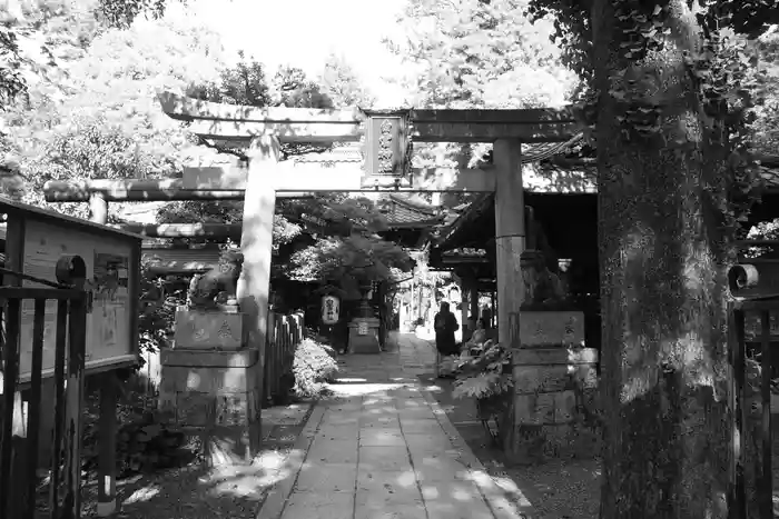 白雲神社の鳥居