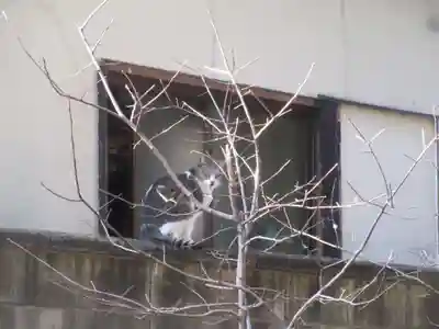 諏訪神社(東京都)