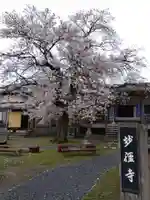 妙経寺(福井県)