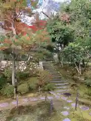 仁和寺の庭園