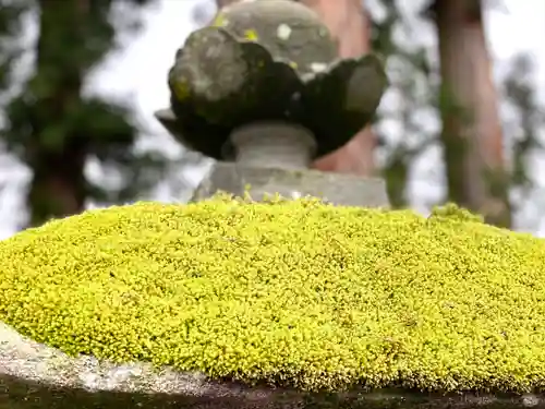 古町豊受大神宮(長野県)