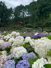 三室戸寺の庭園