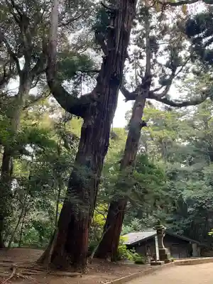 奥宮(鹿島神宮摂社)(茨城県)