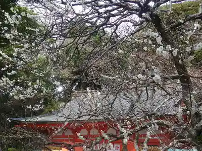 荏柄天神社のその他建物