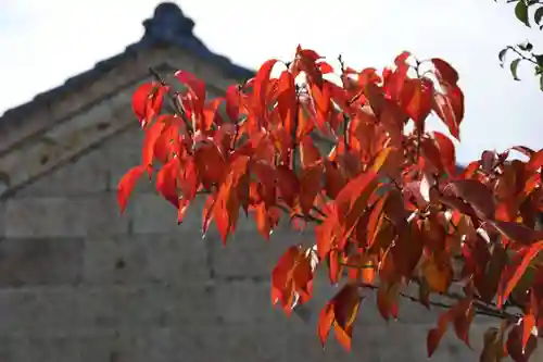 阿邪訶根神社の庭園