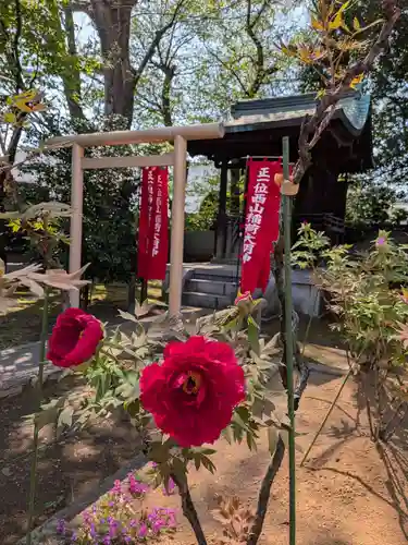 愛染院(東京都)