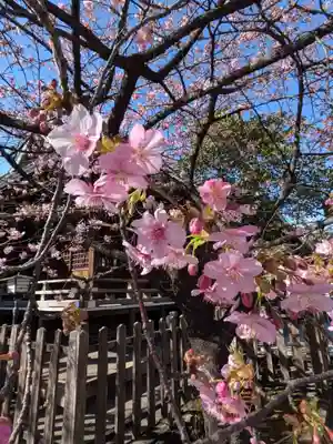 新宿下落合氷川神社(東京都)