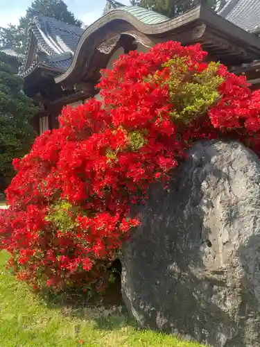 養命寺(愛知県)