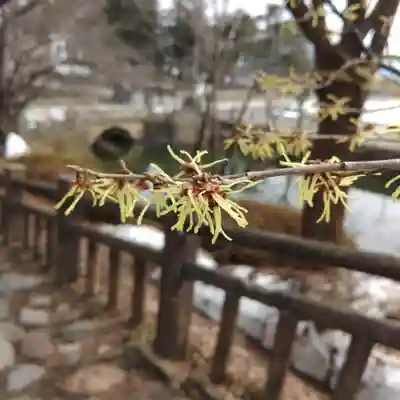 上杉神社(山形県)