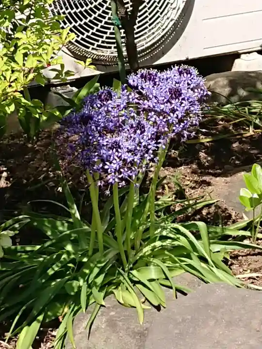 成就院(神奈川県)