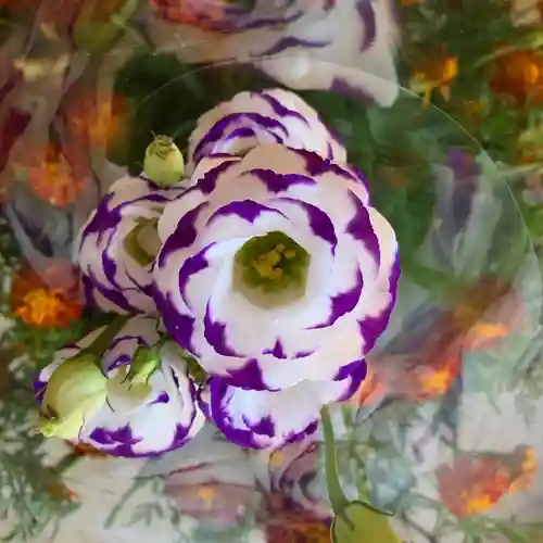 滑川神社 - 仕事と子どもの守り神の手水舎