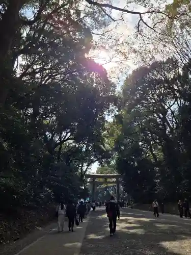 明治神宮(東京都)