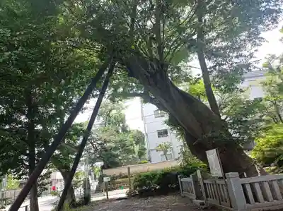 青渭神社(東京都)