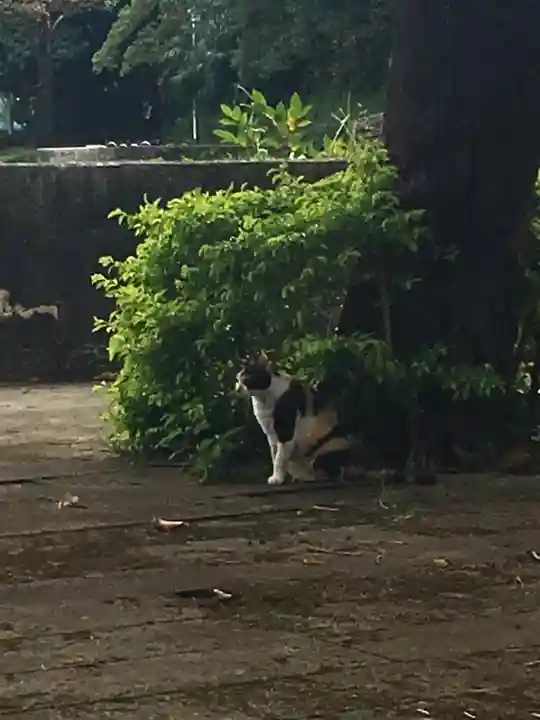 世持神社の動物