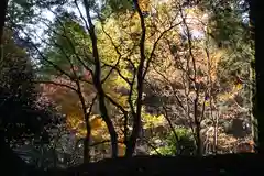 比叡山延暦寺の自然