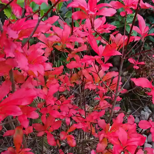 寿量山　速成寺の庭園