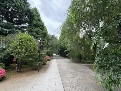 吉祥寺(東京都)