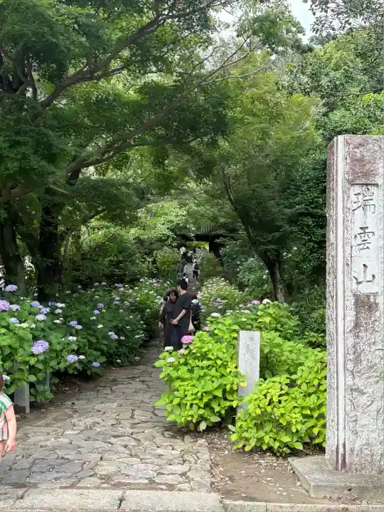 本光寺の庭園
