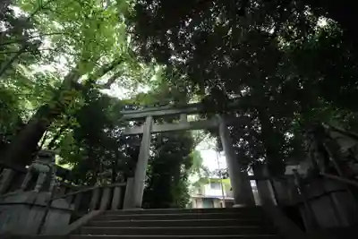 渋谷氷川神社の鳥居