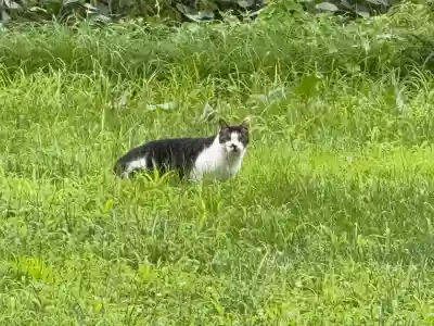 鬼神社(青森県)