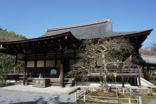 天龍寺の本殿・本堂