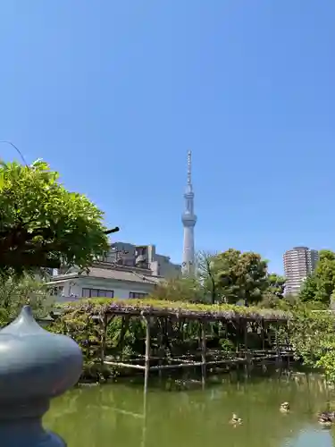 亀戸天神社の庭園