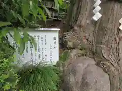 神場山神社(静岡県)