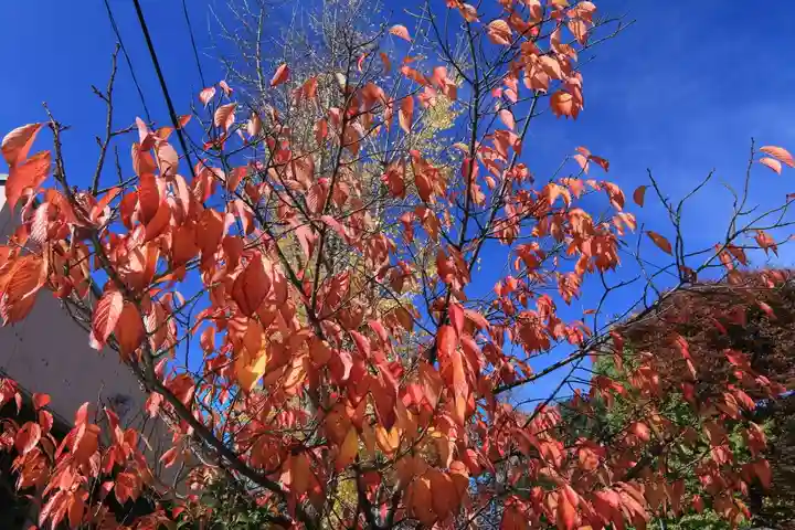 阿邪訶根神社の自然