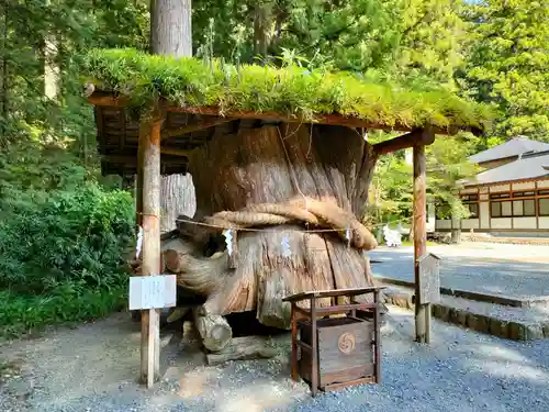 小國神社の自然