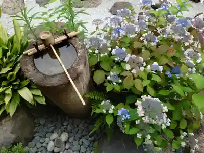 霊源院(京都府)