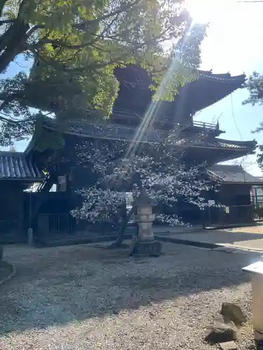 大樹寺（松安院大樹寺）(愛知県)