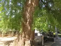 丹生酒殿神社(和歌山県)