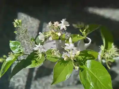 如願寺(大阪府)