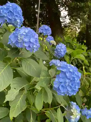 吉備津神社(岡山県)