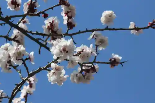 国宝 大法寺の自然