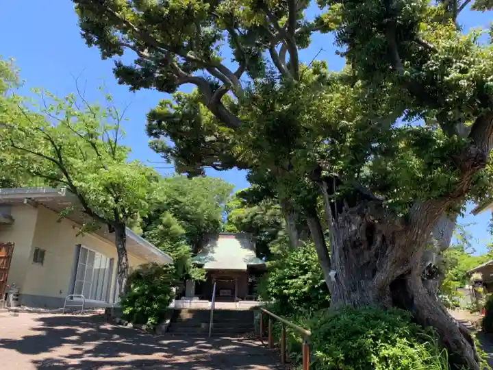 浅間神社のその他建物