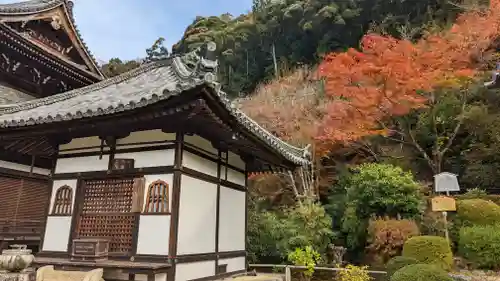 三室戸寺(京都府)