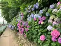 王子神社の自然