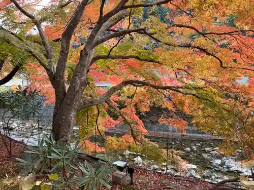 室生寺(奈良県)