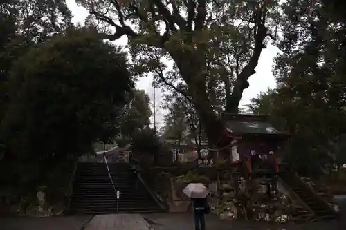 鹿児島神宮(鹿児島県)
