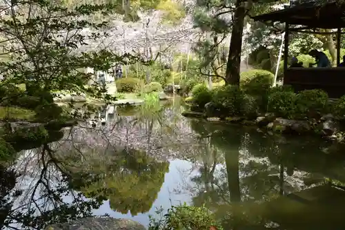 平安神宮の庭園