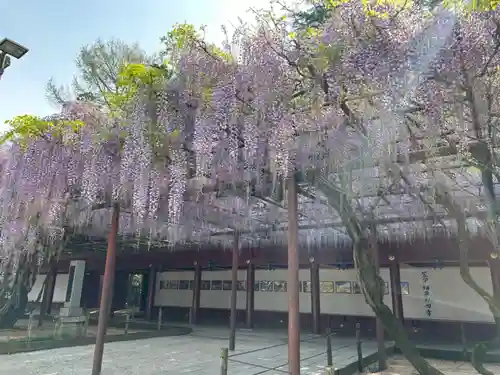 笠間稲荷神社の庭園